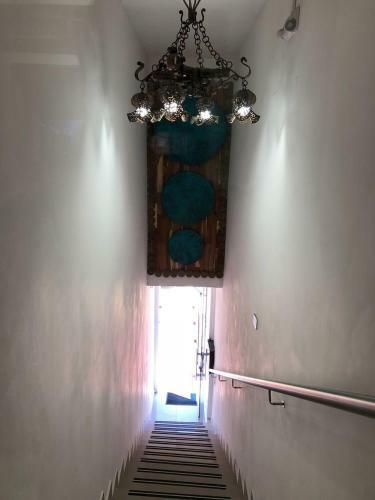 Para�so Hostal Boutique