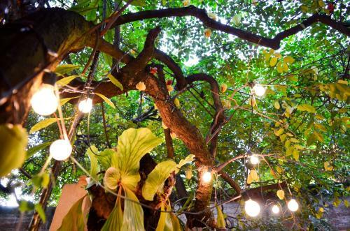 Hostal Magic Garden House