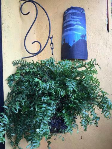 Alojamiento Rural Getseman� Pichind�