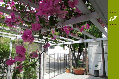 Hostal El Aguacate