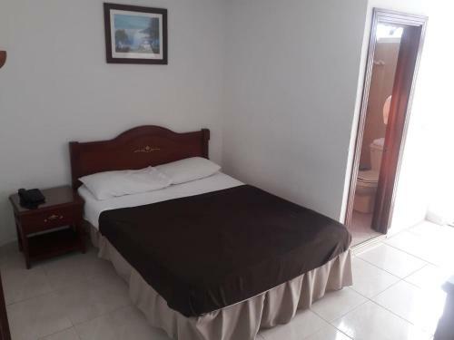 Hotel Del Parque Davinchi