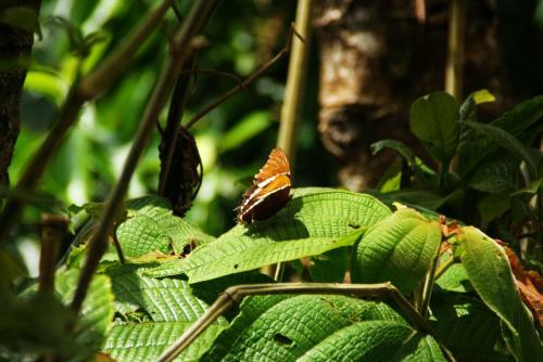 Camping Santa Clara