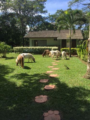 Villa Finca La Fragua