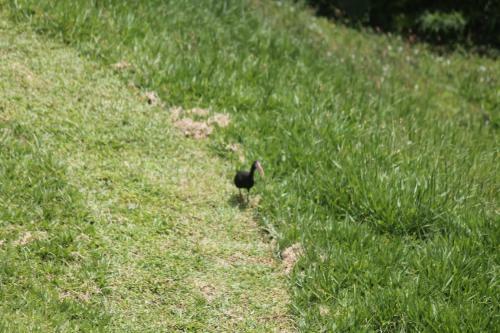 Agroturismo Loma Del Sol Hospedaje Rural