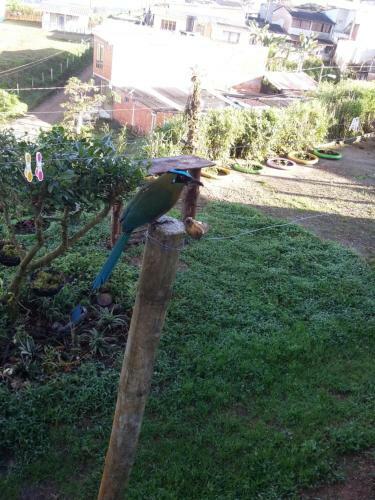 Posada Vivienda Turistica Yerbabuena