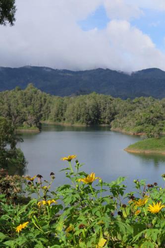 Hotel Ecolodge Bahia Del Pe��n