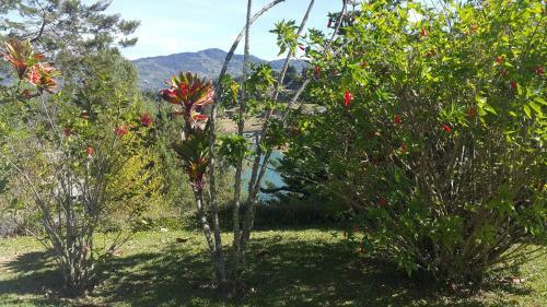 Hotel Villa El Oasis Guatape Lake
