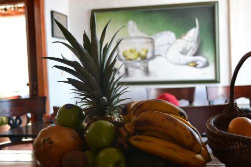 Bed & Breakfast Hostal La Dicha Guatap�