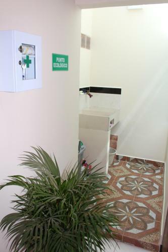 Hostal Palo De Rosa