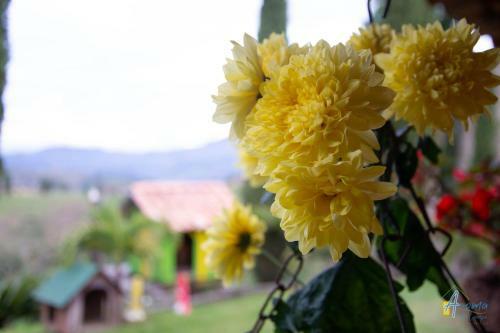 Posada Aroma De Campo