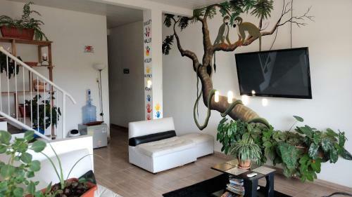 Pira�ita Hostel
