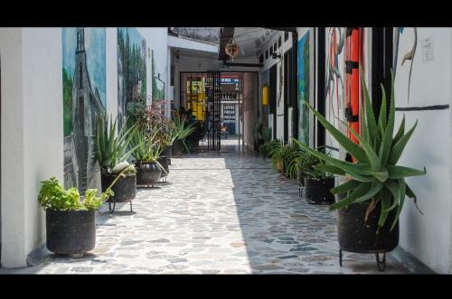 Hotel El Negro