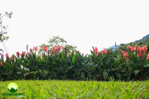 Eco Hotel Bosque Verde