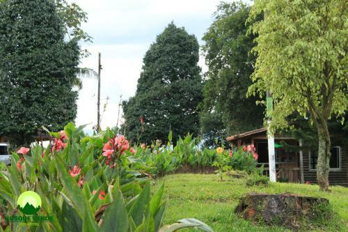 Eco Hotel Bosque Verde