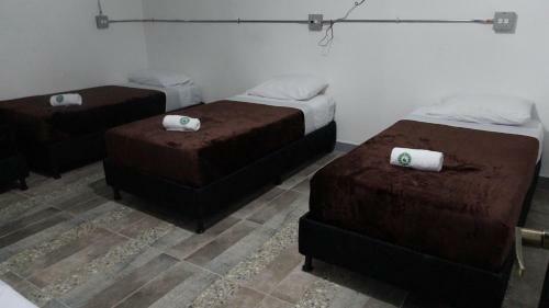 Hostal Nativo Hostel