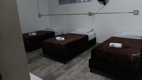 Hostal Nativo Hostel