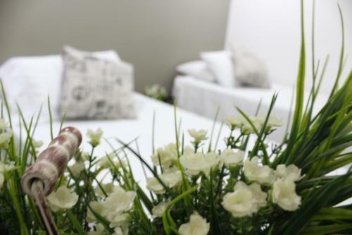 Hotel Boutique Plaza