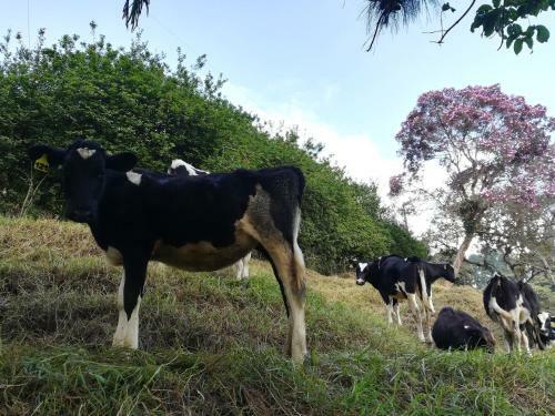 Agroturismo La Madriguera Del Zorro
