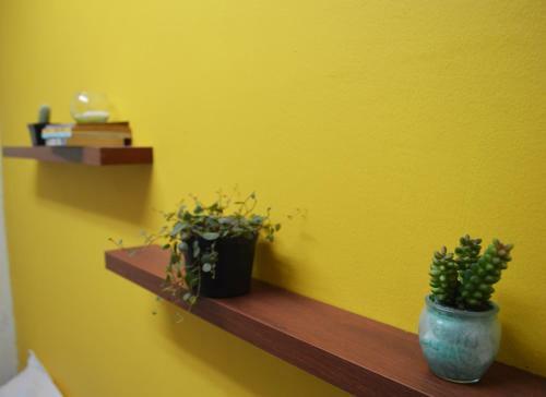 Hostal Rooms In Guesthouse And Perfect Location