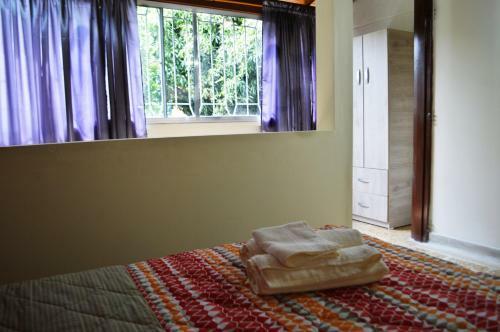 Hostal Rooms In Guesthouse And Perfect Location