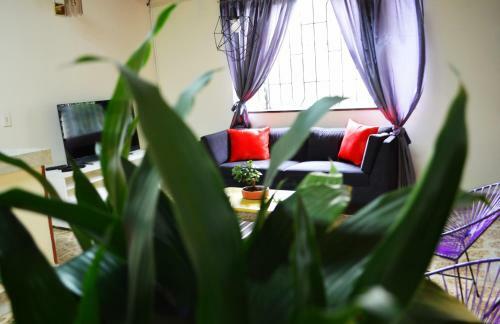 Hostal Rooms In Guesthouse And Perfect Location