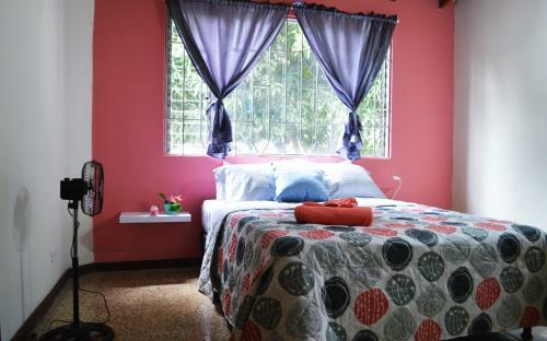 Hostal Rooms In Guesthouse And Perfect Location