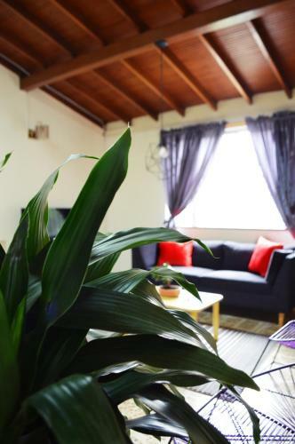 Hostal Rooms In Guesthouse And Perfect Location