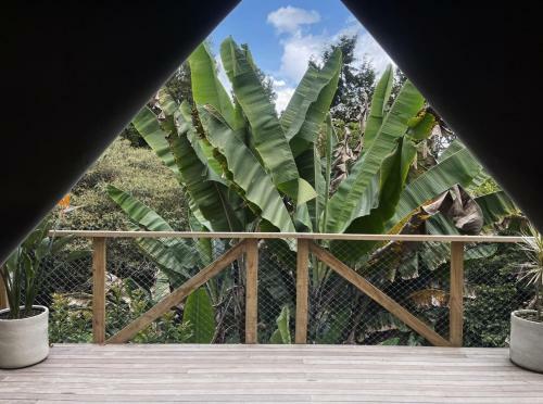 Hotel Teva Glamping & Retreat