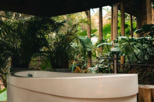 Hotel Teva Glamping & Retreat