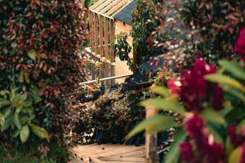 Hotel Teva Glamping & Retreat