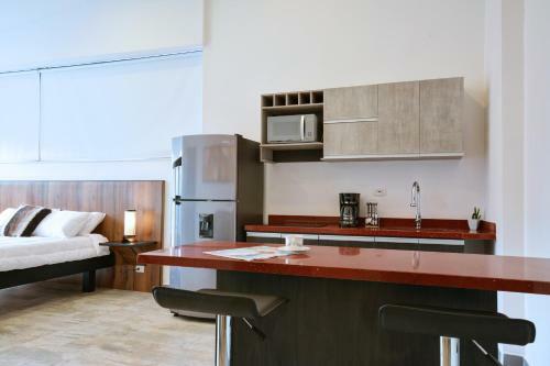 Apartamento Provenza Lofts