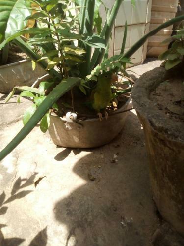 Agroturismo La Casa De Mi M�