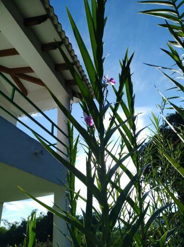 Hotel Campestre Villa Quindio
