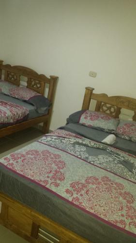 Hotel Elegancia Monteria