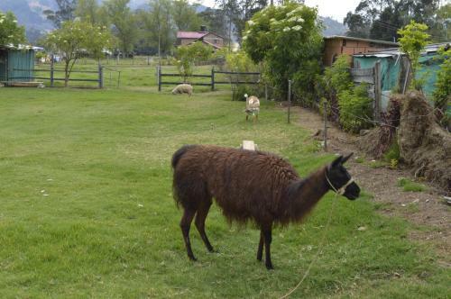 Apartamento Hospedaje Granja La Libertad
