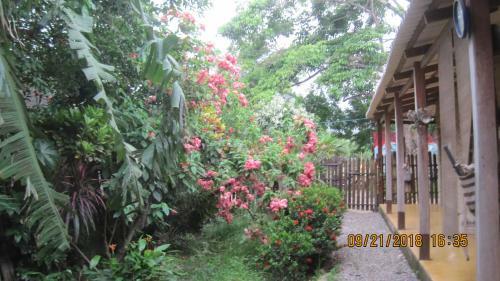 Hostal Casa Ameli