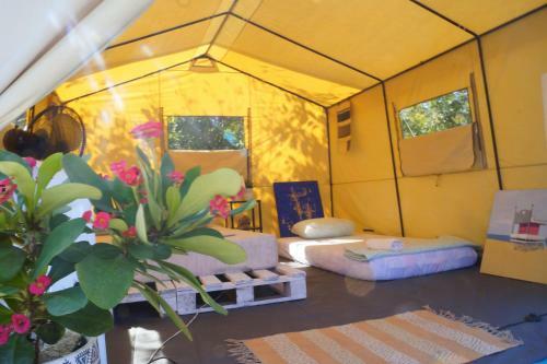 Hostal Guajira Paradise