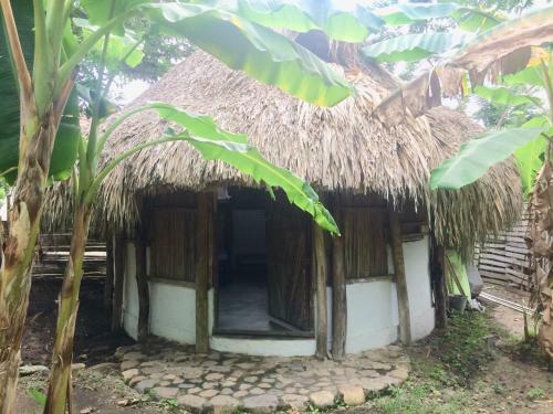 Albergue El Arbol Ecolodges