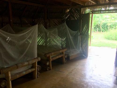 Albergue El Arbol Ecolodges