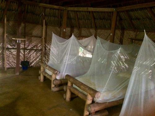Albergue El Arbol Ecolodges