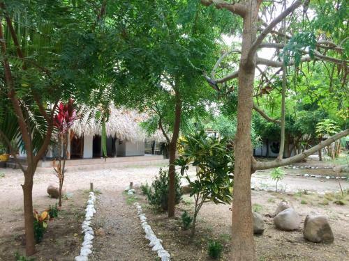Albergue El Arbol Ecolodges