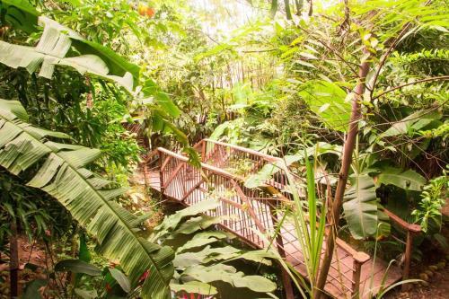 Agroturismo El Totumo