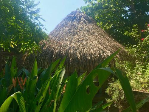 Agroturismo Los Almendros Alojamientos Exclusivos