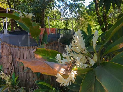 Agroturismo Los Almendros Alojamientos Exclusivos