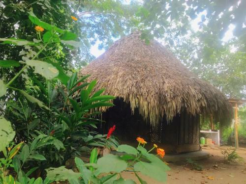 Agroturismo Los Almendros Alojamientos Exclusivos