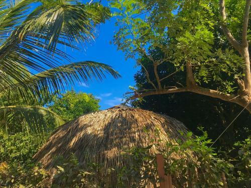 Agroturismo Los Almendros Alojamientos Exclusivos
