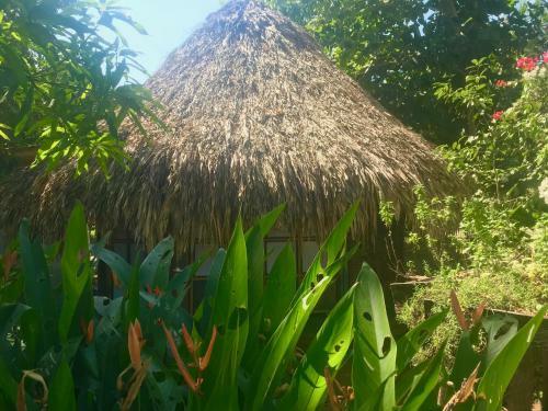 Agroturismo Los Almendros Alojamientos Exclusivos