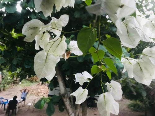 Agroturismo Los Almendros Alojamientos Exclusivos
