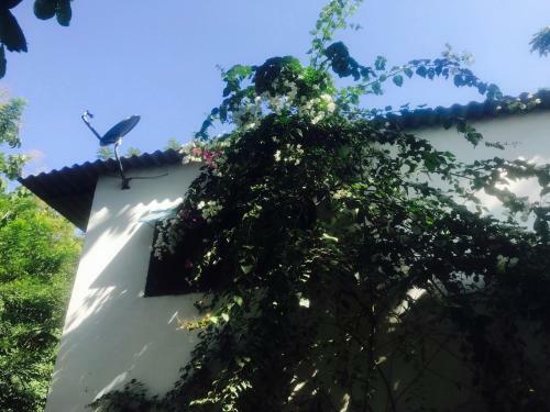 Agroturismo Los Almendros Alojamientos Exclusivos