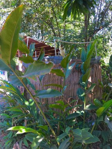 Agroturismo Los Almendros Alojamientos Exclusivos